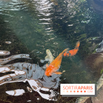 Center Parcs Les Trois Forêts - IMG 2378