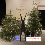 Hôtel Esquisse et marché de Noël de Colmar - IMG 2767