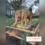 Europa Park : Parc d'attraction  - IMG 3270