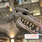 Hôtel Krønasår : Aventure 4 Étoiles près de Rulantica à Europa Park - IMG 2973