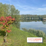 Center Parcs Lac d'Ailette