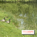 Center Parcs Lac d'Ailette - IMG 7613