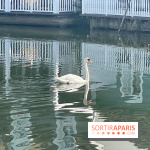 Center Parcs Lac d'Ailette - IMG 7614