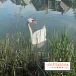 Center Parcs Lac d'Ailette - IMG 7615