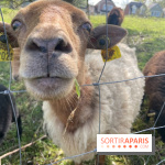 Center Parcs Lac d'Ailette - IMG 7621