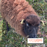 Center Parcs Lac d'Ailette - IMG 7622