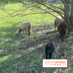 Center Parcs Lac d'Ailette - IMG 7623