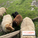 Center Parcs Lac d'Ailette - IMG 7700