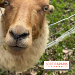 Center Parcs Lac d'Ailette - IMG 7705