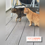 Center Parcs Lac d'Ailette - IMG 7729