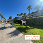 Avra Imperial Hotel en Crète : nos photos - IMG 2283