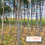 Center Parcs Landes de Gascogne : Nos Photos