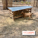 Center Parcs Landes de Gascogne : Nos Photos - IMG 6510