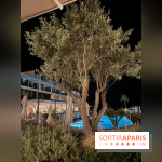 Villa Le Blanc Gran Meliá : piscine principale de nuit
