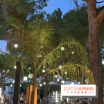 Une soirée estivale sous les pins
