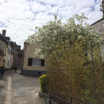 Photos Baie de Somme