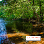 Le Château de Vault-de-Lugny - excursions dans la région