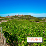 Le Château de Vault-de-Lugny - excursions dans la région