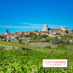 Le Château de Vault-de-Lugny - excursions dans la région