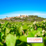 Le Château de Vault-de-Lugny - excursions dans la région
