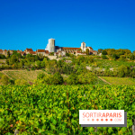 Le Château de Vault-de-Lugny - excursions dans la région