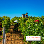 Le Château de Vault-de-Lugny - excursions dans la région