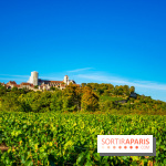 Le Château de Vault-de-Lugny - excursions dans la région