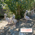 CenterParcs : Domaine Le Bois aux Daims et ses alentours