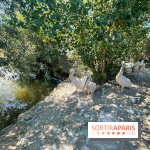 CenterParcs : Domaine Le Bois aux Daims et ses alentours