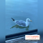 CenterParcs : Domaine Le Bois aux Daims et ses alentours