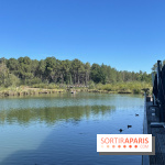 CenterParcs : Domaine Le Bois aux Daims et ses alentours