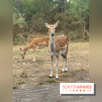 CenterParcs : Domaine Le Bois aux Daims et ses alentours