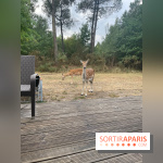 CenterParcs : Domaine Le Bois aux Daims et ses alentours