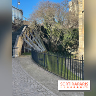 Bourges - Cathédrale
