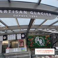 Villa Reine Hortense à Dinard : nos photos - IMG 1087