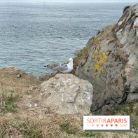 Villa Reine Hortense à Dinard : nos photos - IMG 1485