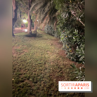 Forte Resort : Hôtel Bouganville  - IMG 2689