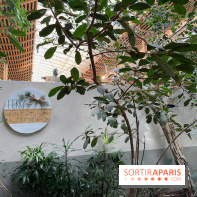 Center Parcs Les Trois Forêts - IMG 2376