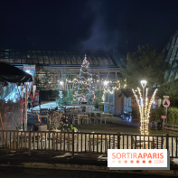 Center Parcs Les Trois Forêts - IMG 2420