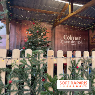 Hôtel Esquisse et marché de Noël de Colmar