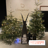 Hôtel Esquisse et marché de Noël de Colmar