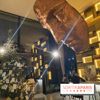 Hôtel Esquisse et marché de Noël de Colmar - IMG 2827