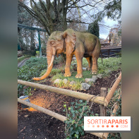 Europa Park : Parc d'attraction
