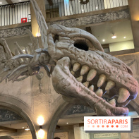 Hôtel Krønasår : Aventure 4 Étoiles près de Rulantica à Europa Park - IMG 2973