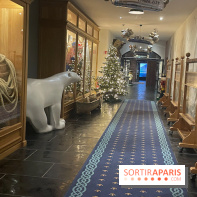 Hôtel Krønasår : Aventure 4 Étoiles près de Rulantica à Europa Park - IMG 2992