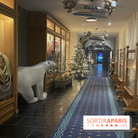 Hôtel Krønasår : Aventure 4 Étoiles près de Rulantica à Europa Park - IMG 2993