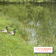 Center Parcs Lac d'Ailette - IMG 7613