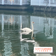 Center Parcs Lac d'Ailette - IMG 7614