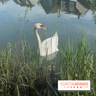 Center Parcs Lac d'Ailette - IMG 7615