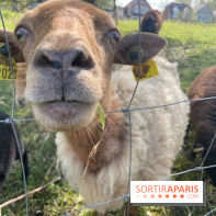 Center Parcs Lac d'Ailette - IMG 7621